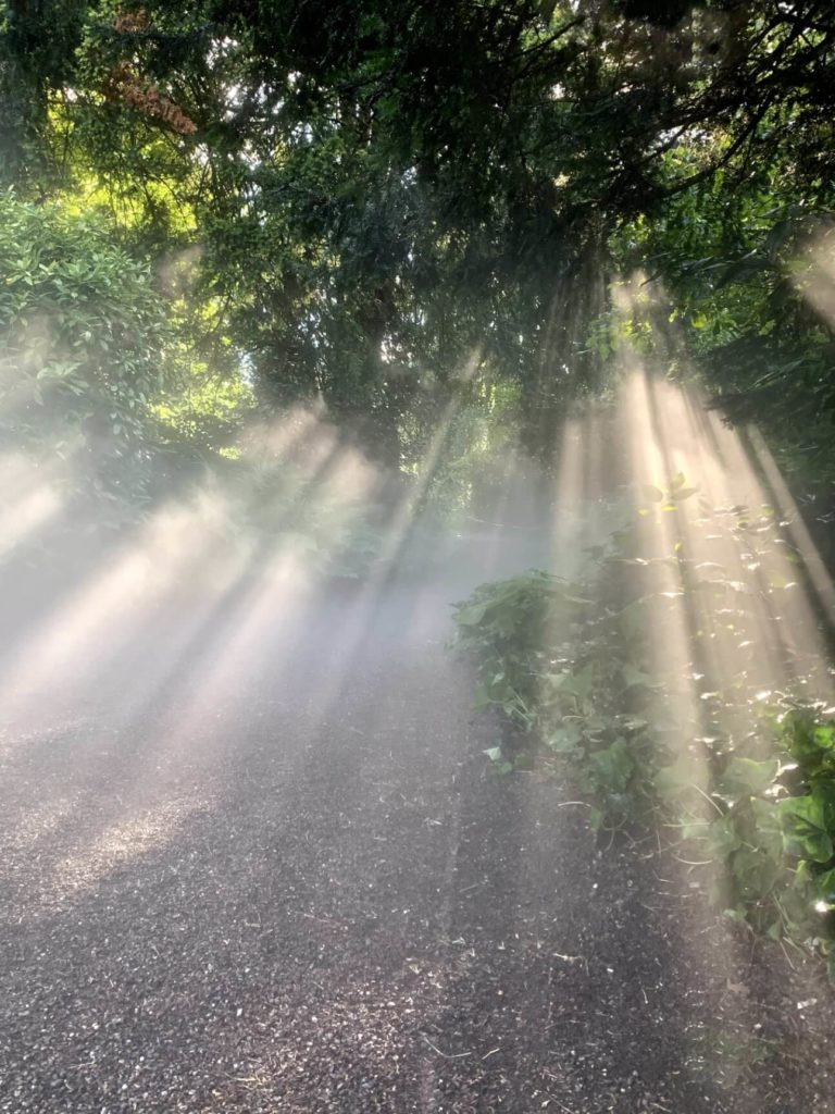 HOXAR-STUDIO Cloud Mist Architecture - Zurich - Sunbeams Installation.