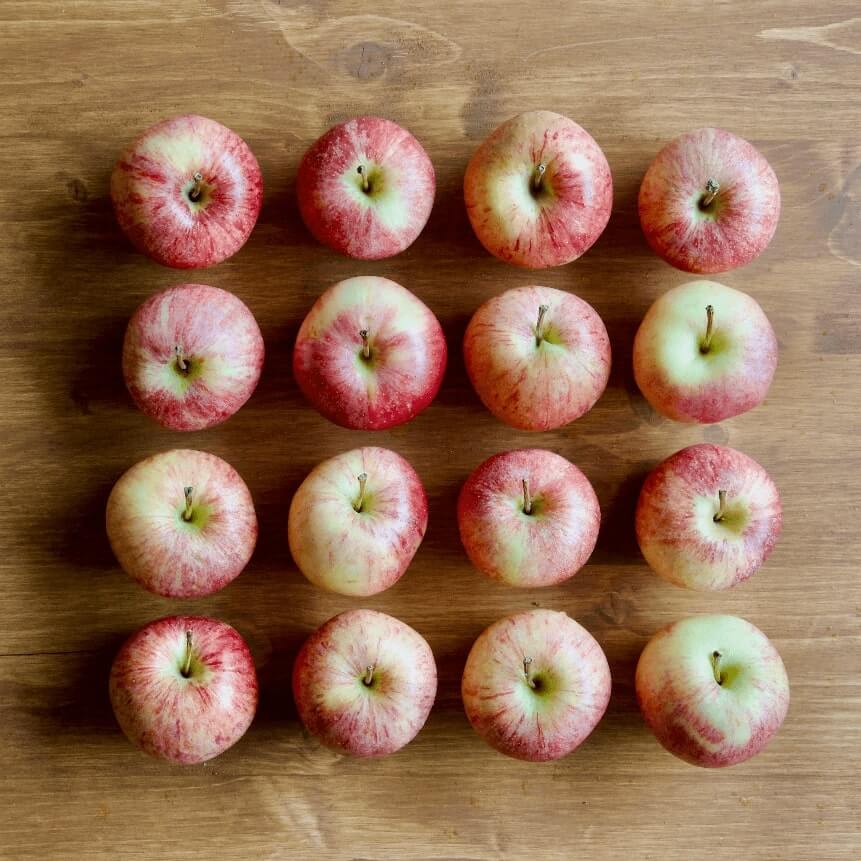 Harmonious Color Tones in Swiss Bakery with Pastel Design
